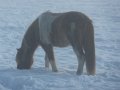 Winter1011 (40)